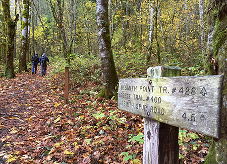 The first of several confusing signs along the trail…