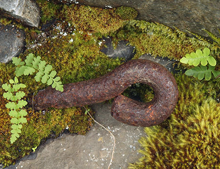 Traces of the old waterworks are still visible on the upper trail