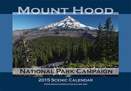 The view from Owl Point is the cover image for 2015