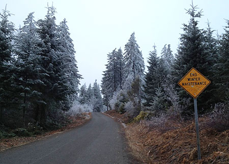 Winter wonderland ahead!