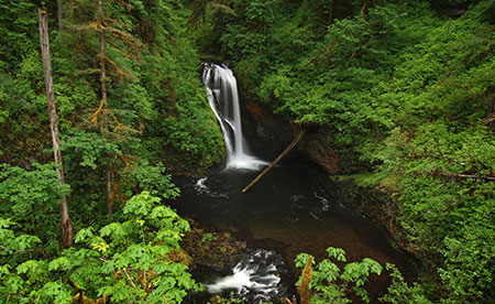 June features Butte Creek Falls
