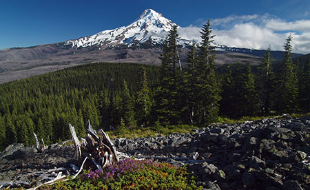 July features Mount Hood from Owl Point