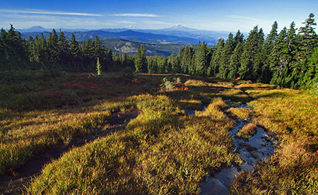 The view north to Owl Point and the Washington Cascades from WyEast Basin