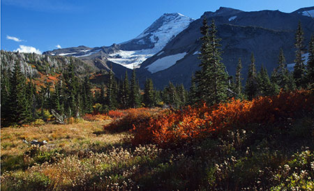 October features beautiful Elk Cove in autumn