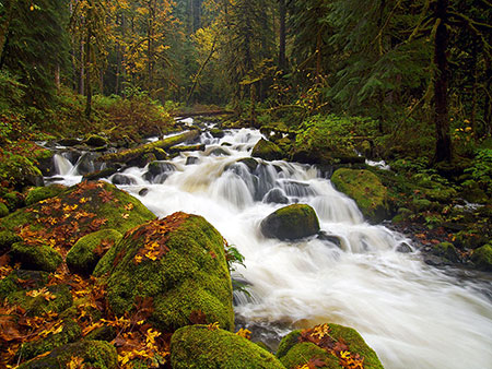A rip-roaring Oneonta Creek after the first big autumn storms