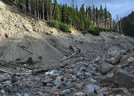 The Eliot Branch in the vicinity of the proposed crossing (photo © Tim Burke)