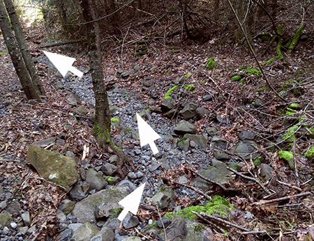 …and in this photo, where the overflow stream continued down the ancient creekbed
