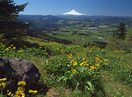 Mount Hood from Hood River Mountain in 2014
