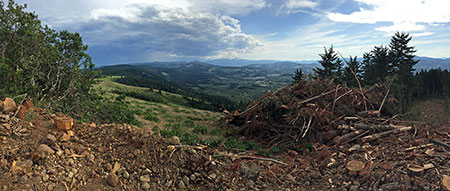 Anywhere else, this would be a national park or preserve… here, just another clearcut (same spot as the opening photo)