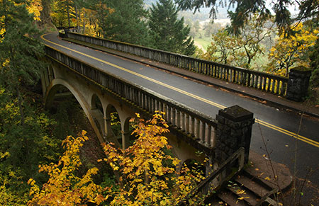 Shepperd's Dell dressed in autumn golds