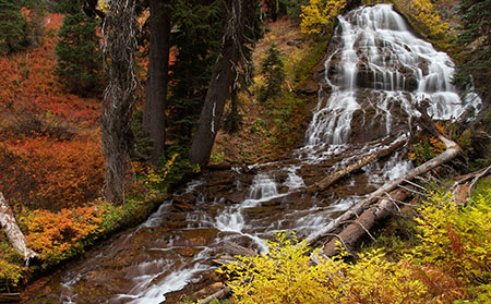 The colors in this view of Umbrella Falls on Mount Hood are mostly huckleberry -- red when in full sun and yellow in shady stream areas