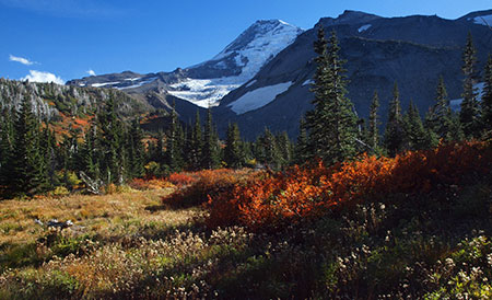 Elk Cove in late September (in a typical year)