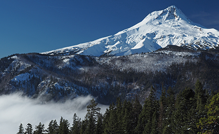 00bCalendarCoverGumjuwac