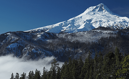 00bCalendarCoverGumjuwac