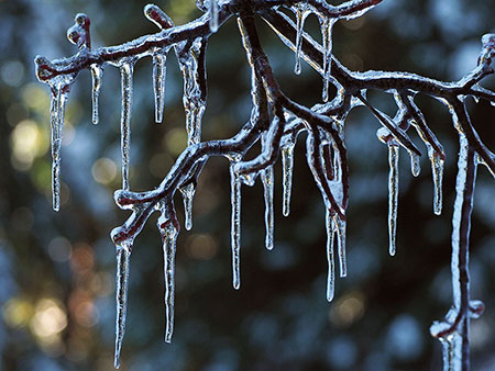 00cCalendarCoverGumjuwac