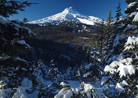 01CalendarBennettPass