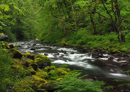 04aCalendarTannerCreek