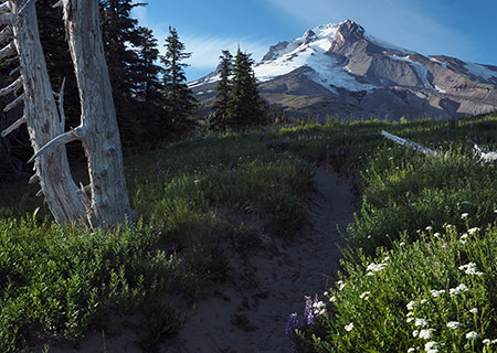 07aCalendarTimberlineTrailHood