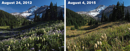 07bElkCovePortraitComparison