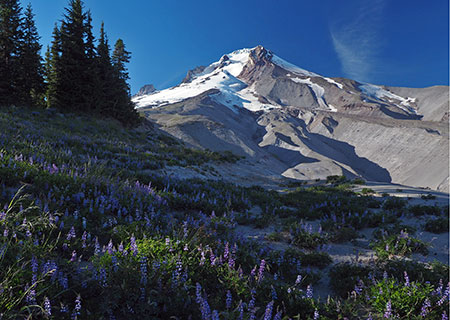 08aCalendarWhiteRiverRim