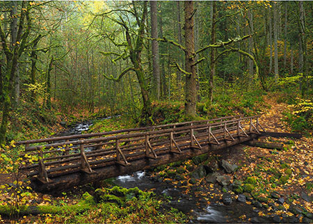 09aCalendarGortonCreekBridge