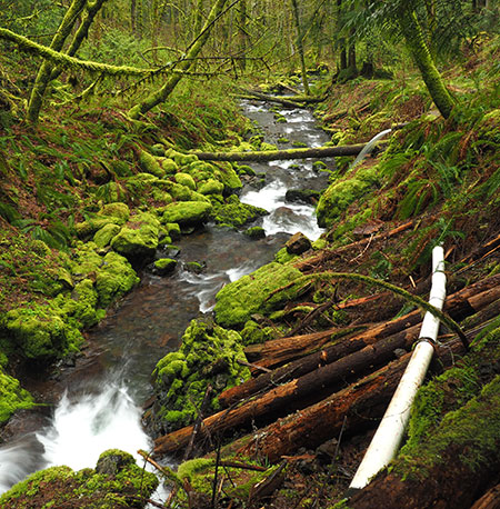 09cCalendarGortonCreekBridge