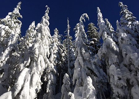 12aCalendarSnowyBarlowPass