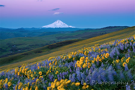 BrianChambers02SevenmileHill01