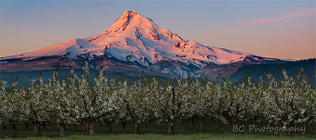 BrianChambers03UpperHoodValley