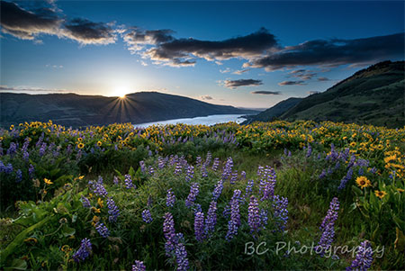 BrianChambers04RowenaSunrise