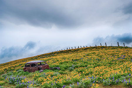 BrianChambers16ColumbiaHills