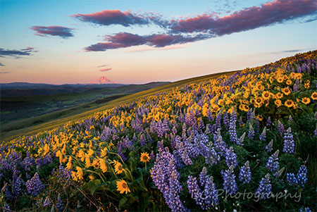 BrianChambers17SevenmileHill02