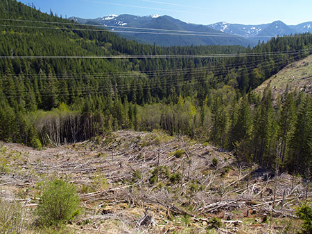 Hiyu06TransmissionLines