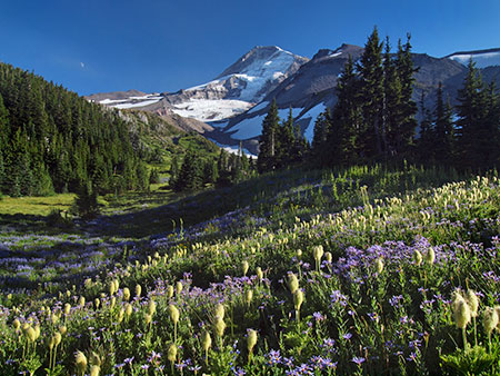 BackpackerMagazine00