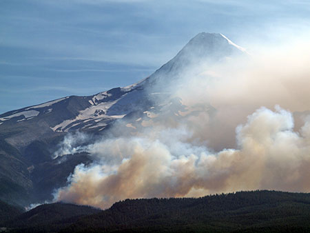 dollarfirefiveyears02