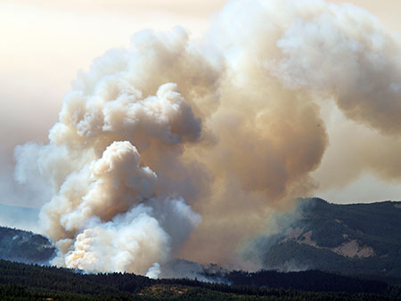 dollarfirefiveyears03