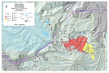dollarfirefiveyears04