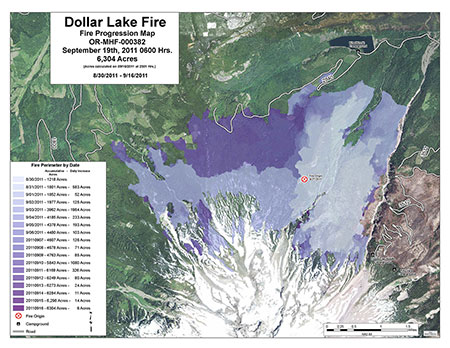 dollarfirefiveyears05