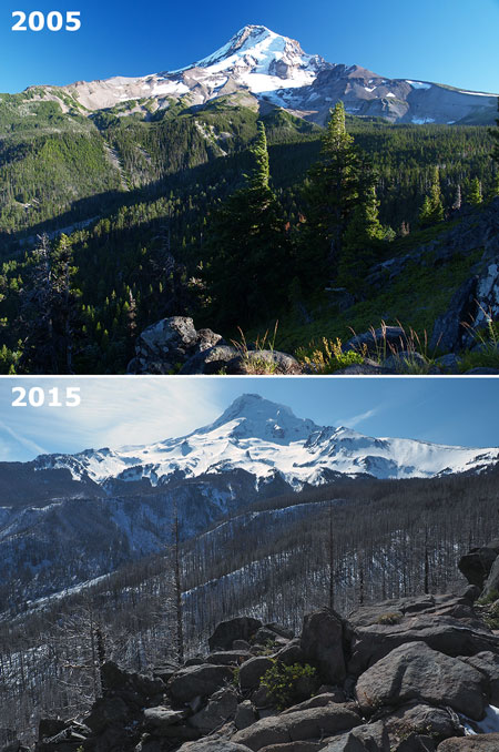 dollarfirefiveyears06