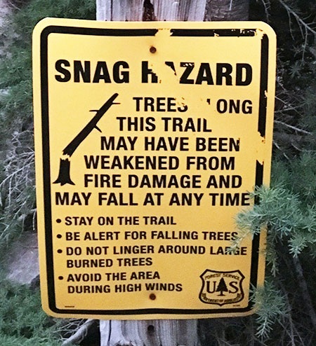 dollarfirefiveyears29