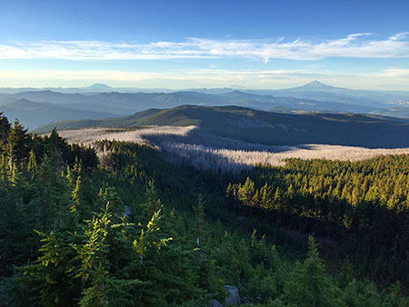 dollarfirefiveyears34