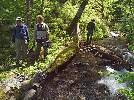 warrenfallspostscript06