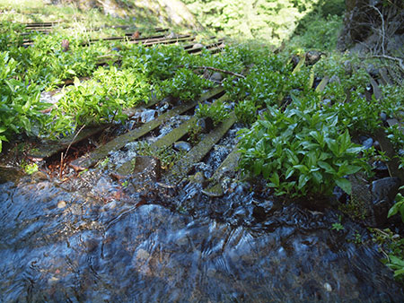 warrenfallspostscript11