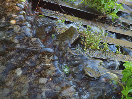 warrenfallspostscript12