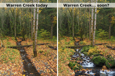 warrenfallspostscript31