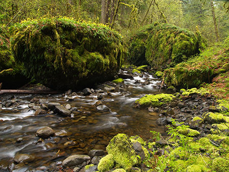 metlakocollapse17moffettcreek01