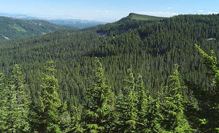 bennettpassbackroad06