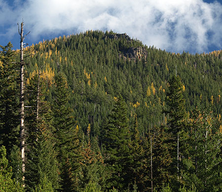 bennettpassbackroad12