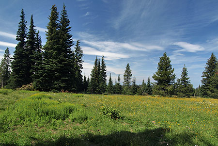 bennettpassbackroad13