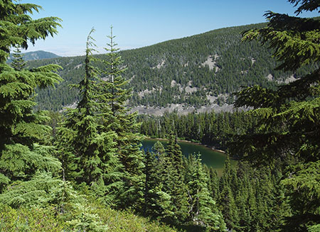 bennettpassbackroad16